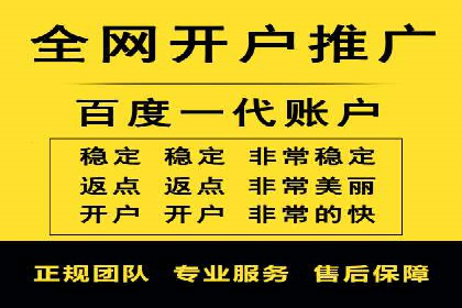 SEO与百度推广结合的营销策略——经典案例解析
